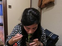 p (23)